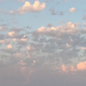 Meet your Posher, Quinn